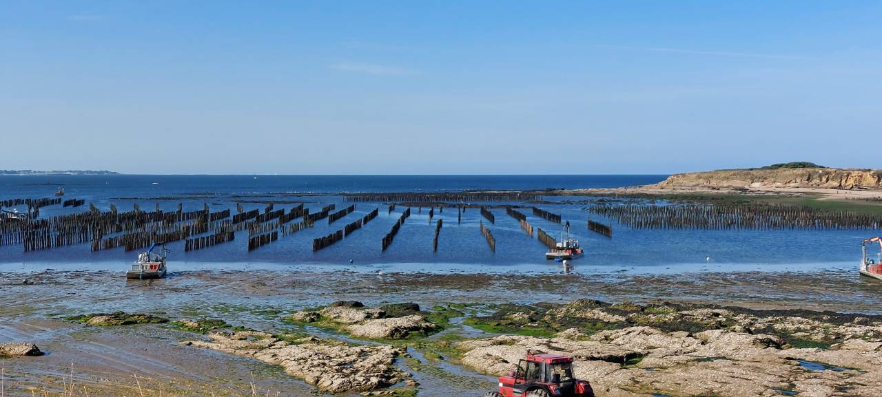 20240917 104957 original